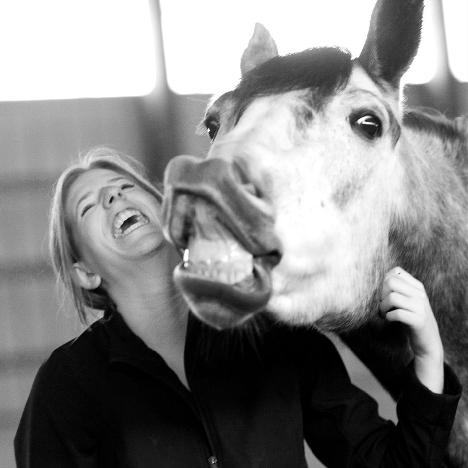 Horse-rider2