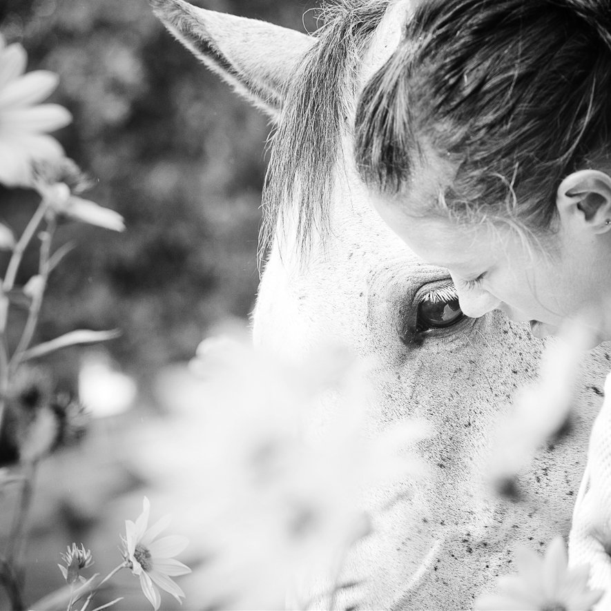 Horse-rider3