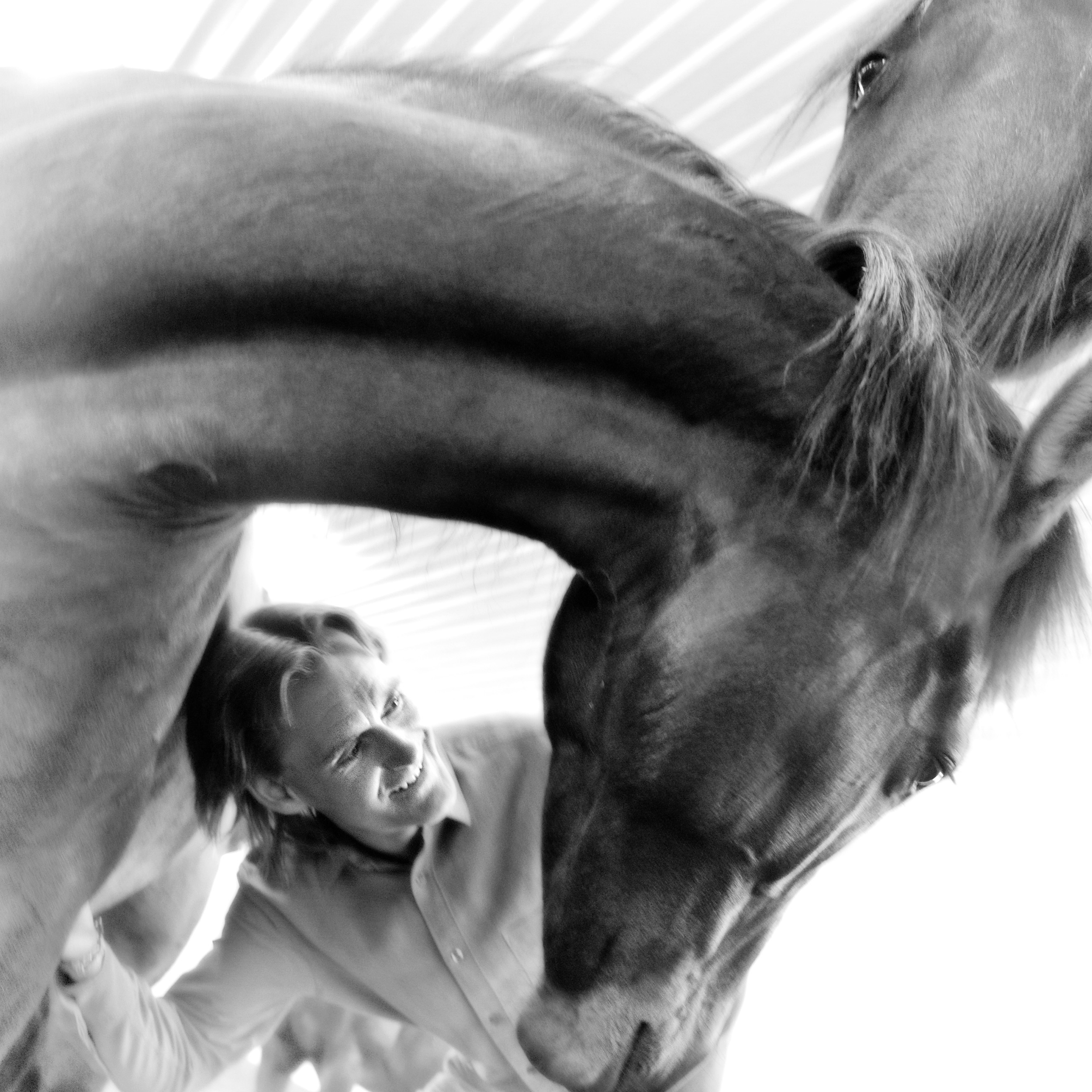 Horse-rider5.jpg